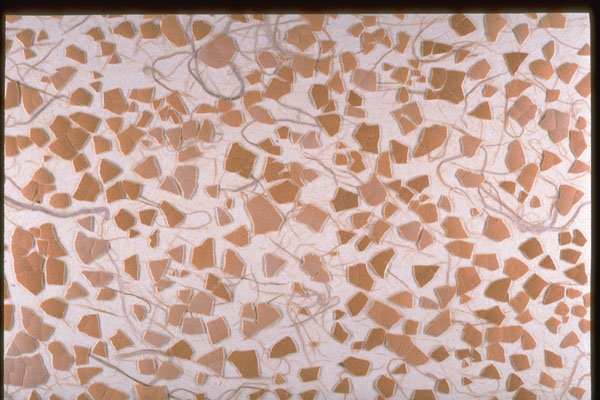 265034 Eggshell And Ricepaper A4 Photo Print