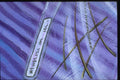 265040 Genetic Evidence A4 Photo Print