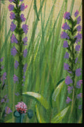 265049 Field Grasses A4 Photo Print