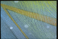 265059 Ashphalt A4 Photo Print