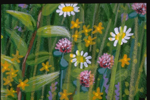 265065 Wildflowers A4 Photo Print
