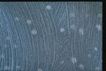 265067 Night Snow Flurries A4 Photo Print