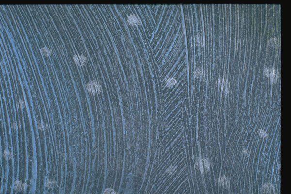265067 Night Snow Flurries A4 Photo Print