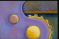 265079 Micro saw A4 Photo Print