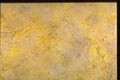 265086 Yellow Chicken Tracks A4 Photo Print
