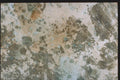 265087 Ersatz Pewter A4 Photo Print