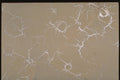 265090 Dried Puddle A4 Photo Print