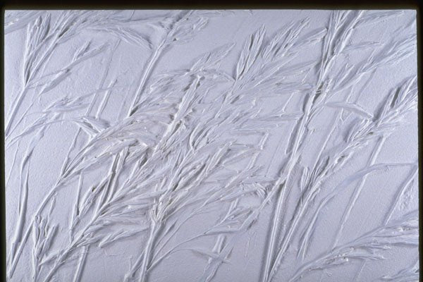 265091 Grass Relief A4 Photo Print