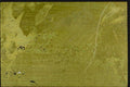 265094 Dutch Leaf IV A4 Photo Print