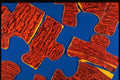 265097 Jigsaw A4 Photo Print