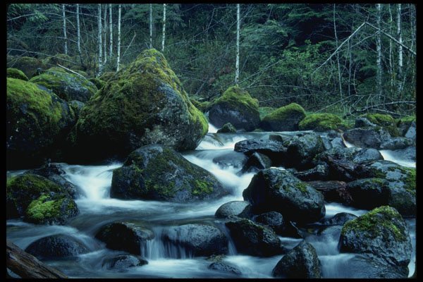 266007 Ipsut Creek A4 Photo Print