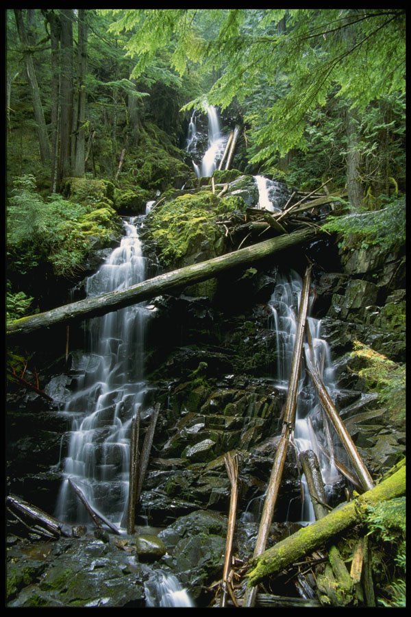 266009 Ranger Falls A4 Photo Print