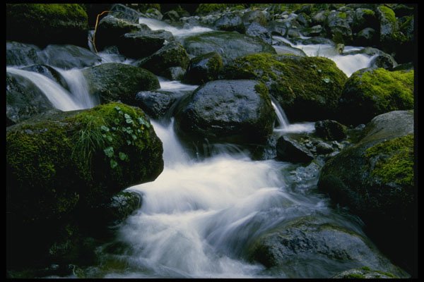 266010 Ipsut Creek A4 Photo Print