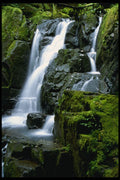 266013 Mystic Falls A4 Photo Print
