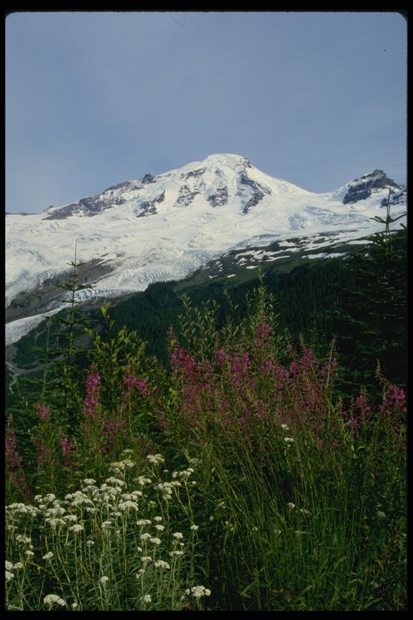 266015 Mt. Baker A4 Photo Print