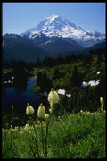 266025 Mt. Rainier A4 Photo Print