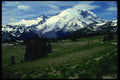 266027 Mt. Rainier A4 Photo Print