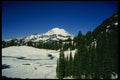 266028 Mt. Rainier A4 Photo Print