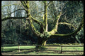 266032 Flaming Geyser Park A4 Photo Print