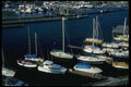266037 Lake Union Fleet A4 Photo Print