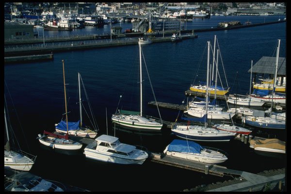 266037 Lake Union Fleet A4 Photo Print