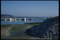 266038 Oysterville A4 Photo Print