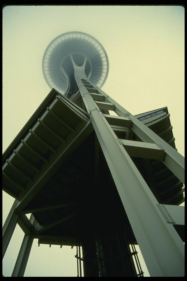 266041 Under The Space Needle A4 Photo Print