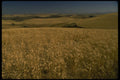 266059 Eastern Washington A4 Photo Print