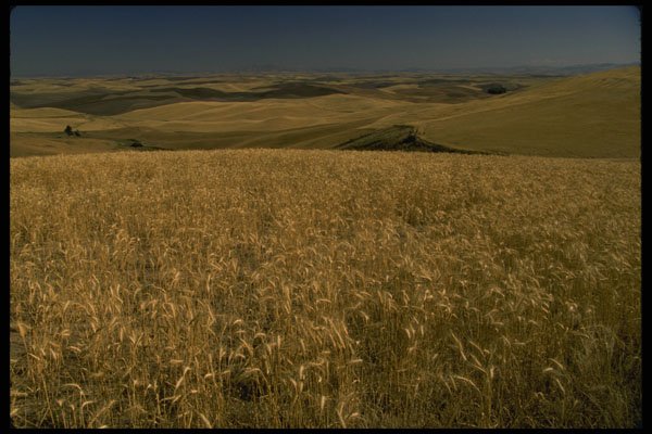 266059 Eastern Washington A4 Photo Print