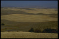 266060 Rolling Palouse Country A4 Photo Print
