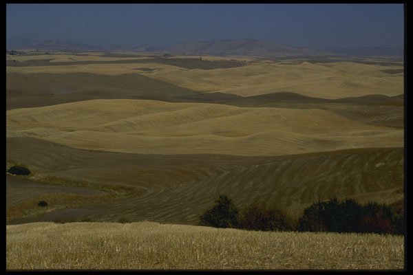 266060 Rolling Palouse Country A4 Photo Print