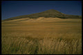 266061 Steptoe Butte A4 Photo Print