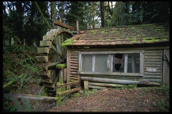 266068 Moss covered Cabin And Water Wheel A4 Photo Print