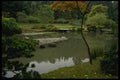 266070 Placid Garden Scene A4 Photo Print