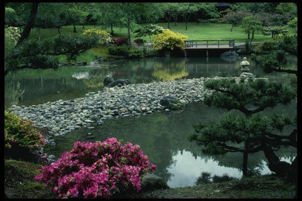 266072 Japanese Garden Scene A4 Photo Print