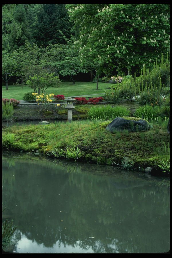 266073 Reflection In The Garden A4 Photo Print
