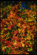 266074 Colorful Rainbow A4 Photo Print