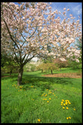 266075 Spring Color A4 Photo Print