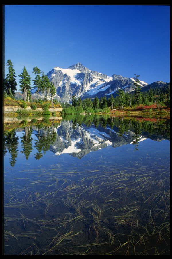 266090 Reflections A4 Photo Print