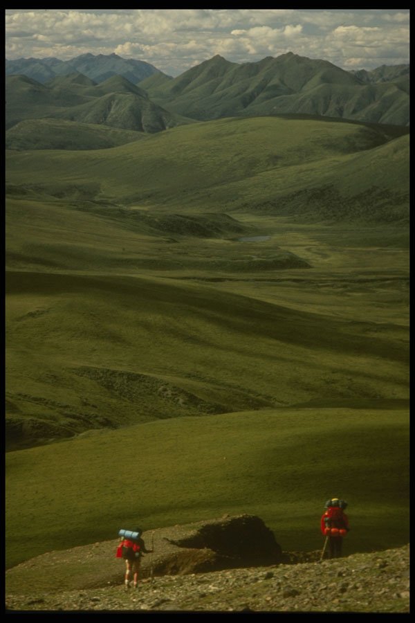 267011 Kluane A4 Photo Print