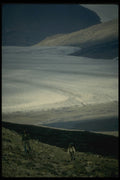 267029 Glacial Fan, Ellesmere A4 Photo Print
