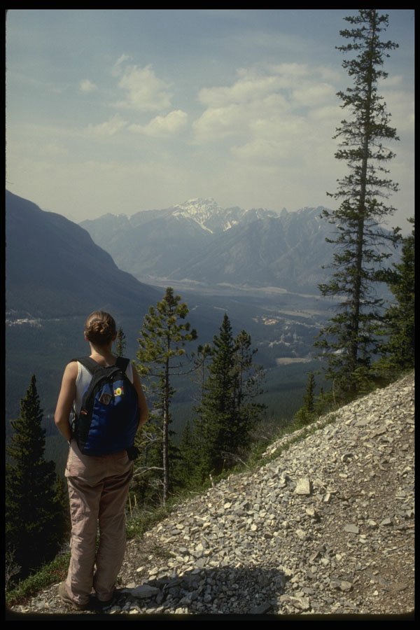 267036 Banff National Park A4 Photo Print