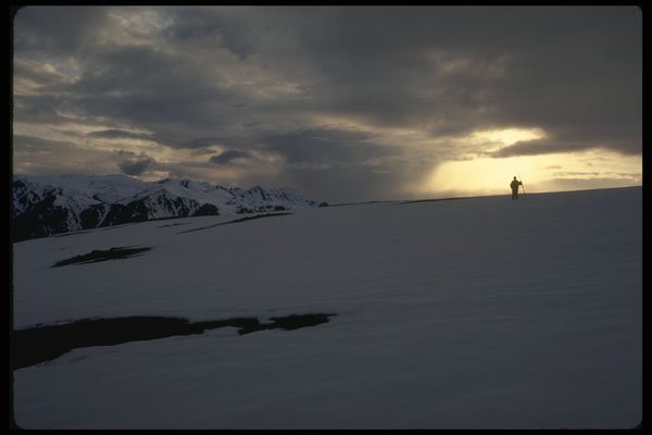 267060 Alpine Hiker, Yukon A4 Photo Print