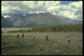267080 Donjek Valley, Yukon A4 Photo Print