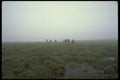 267083 Hikers Walking Through Grasslands A4 Photo Print