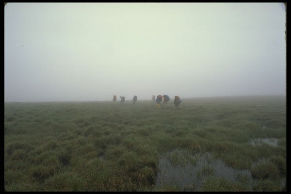 267083 Hikers Walking Through Grasslands A4 Photo Print