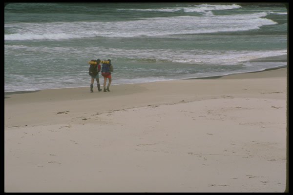 267090 Tasmania, Australia A4 Photo Print
