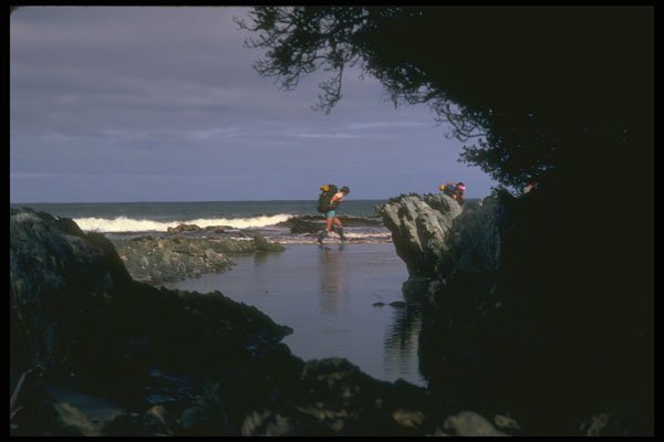 267091 Tasmania, Australia A4 Photo Print