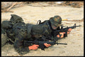 270006 Navy SEAL Team At Naval Amphibian Base, Using Combat A4 Photo Print