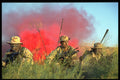 270025 Navy SEAL Team At Naval Five, Camp Kerry, CA A4 Photo Print